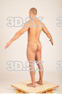 Body texture of Bystrik 0048